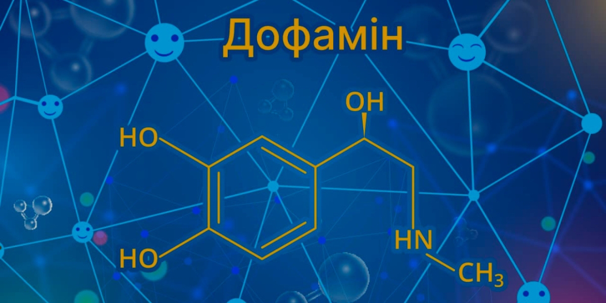 Дофамінова петля в харчуванні: вплив солодкого та фастфуду на харчові звички